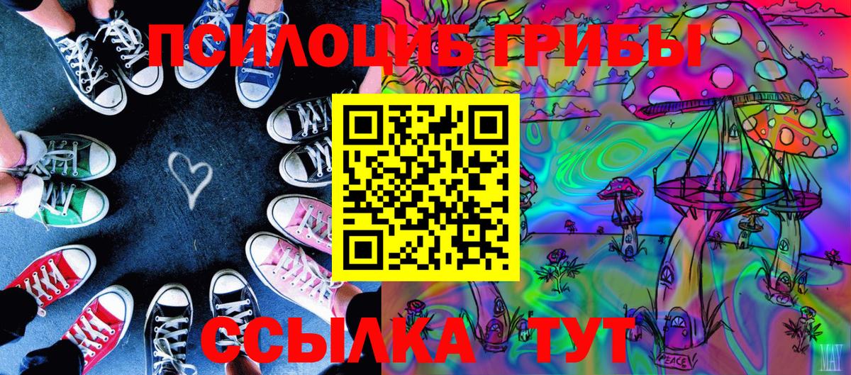 Псилоцибиновые грибы Psilocybe  Вход с VPN  Благодарный 